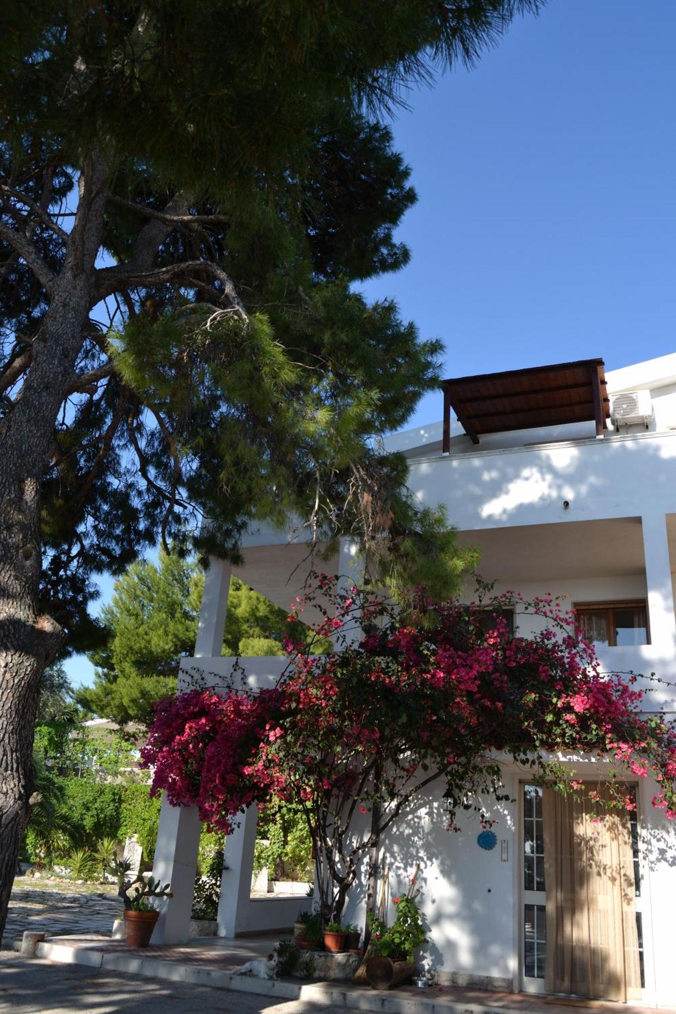 Residenza Collina Dei Pini Aparthotel Vieste Exterior foto